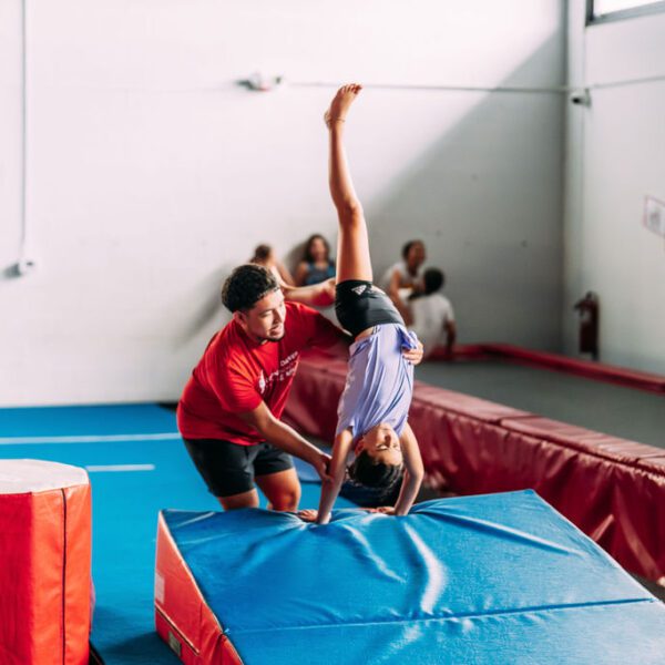 coach and the gymnast