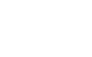 DD-White-Logo