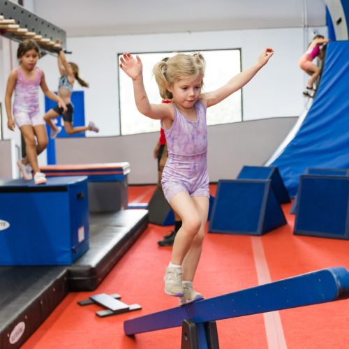 DDGNA - Kids In Action | Early Childhood Activities